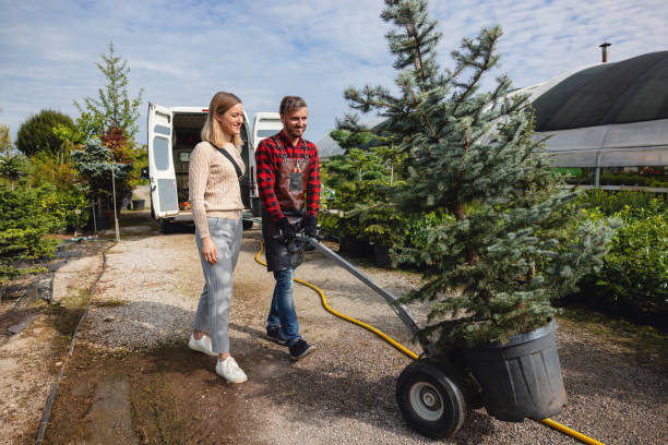 Tree Removal for Businesses in Wink, TX